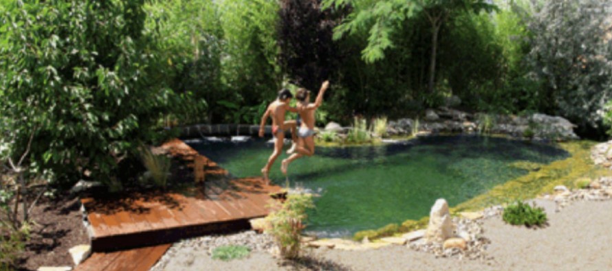 Baignade au naturel, un rêve enfin accessible | Guide de la maison