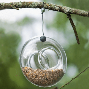 mangeoire verre oiseau