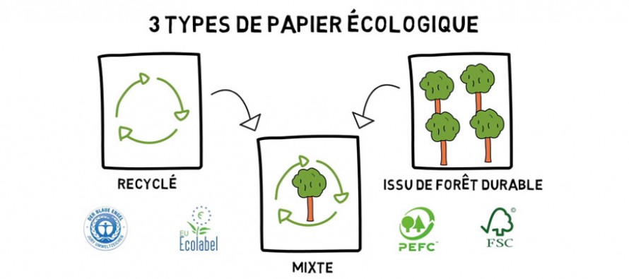 Papier écologique : comment choisir