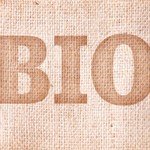 papier peint écologique