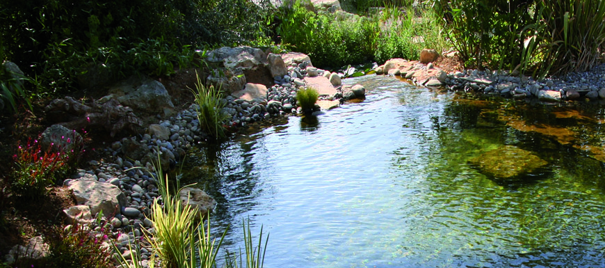 piscine écologique naturelle