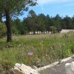 maison bioclimatique