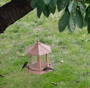 mangeoire oiseaux kiosque Brocéliande