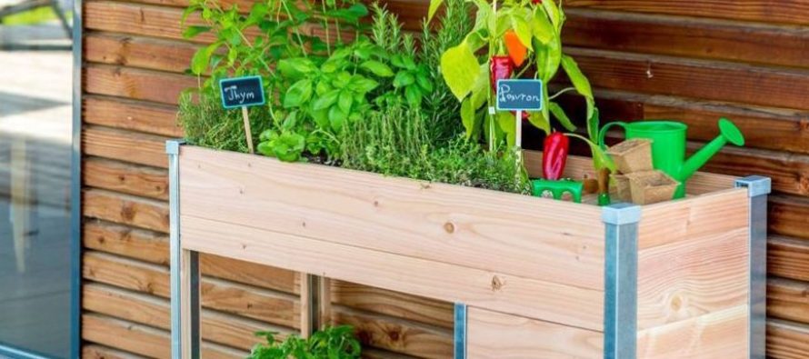 Un potager et composteur 2 en 1 pour son balcon