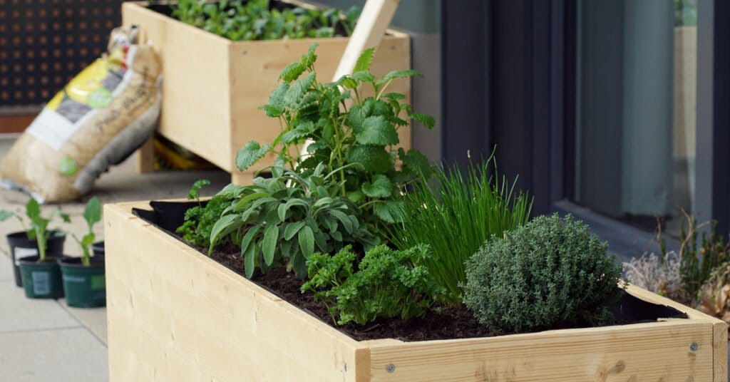 Composteur potager balcon