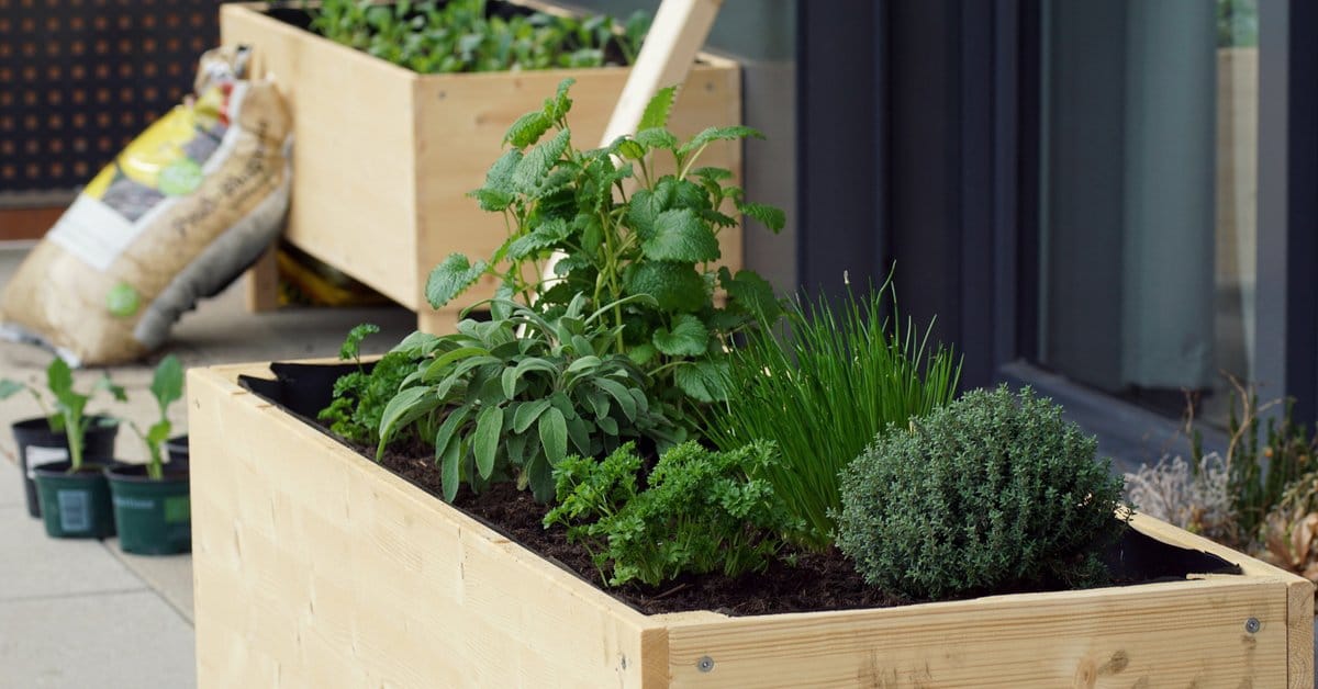 Composteur de balcon : la tendance du jardinage éco-responsable en