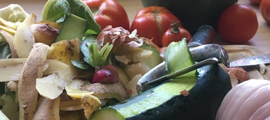 Comment faire son compost en ville ou en appartement