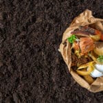 compost composteur